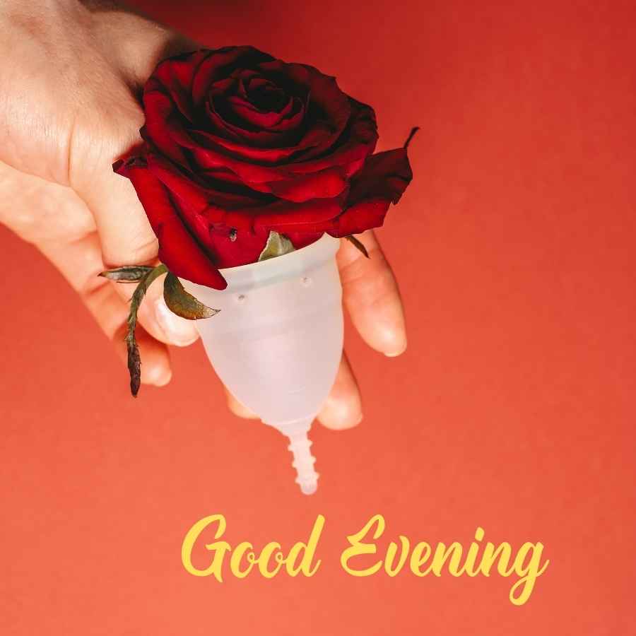 good evening flower images