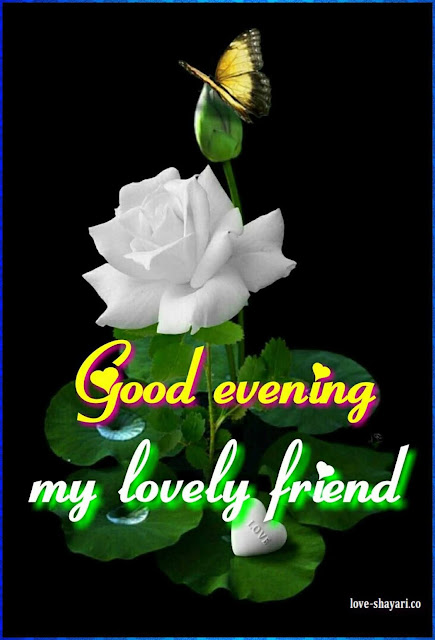 gud evening friend